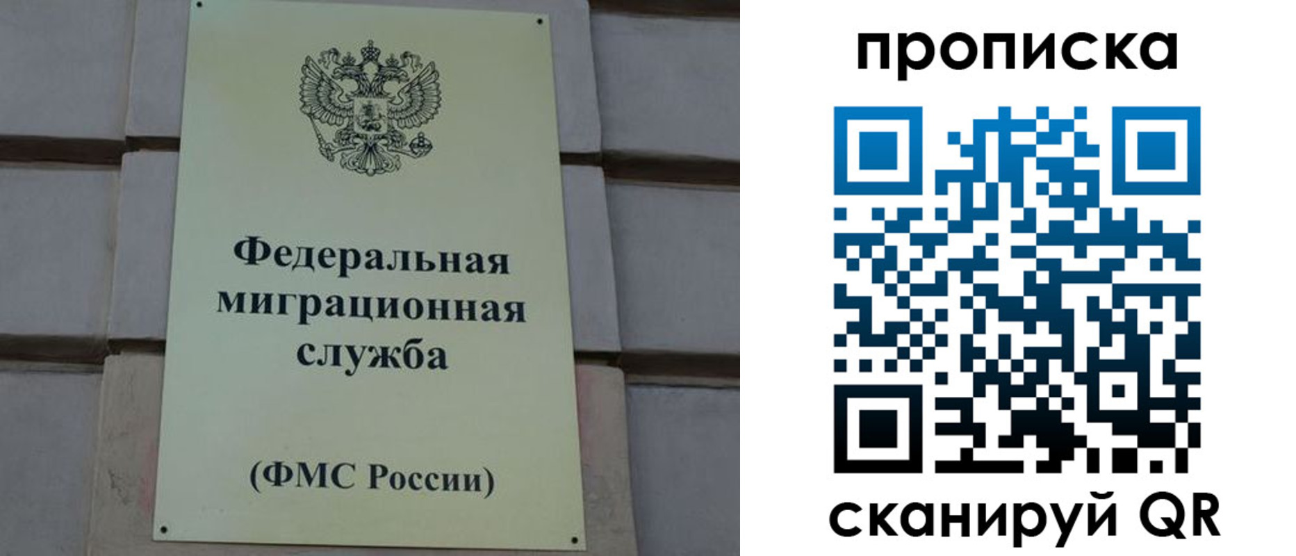 прописка поиск в Иркутской области